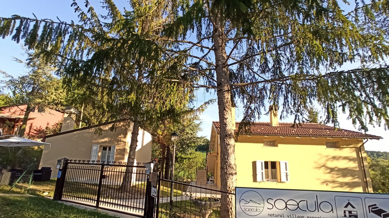 Photo of Outdoor in Force