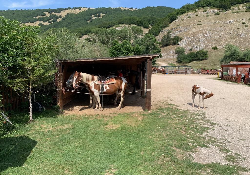 Photo of Outdoor in Rovere