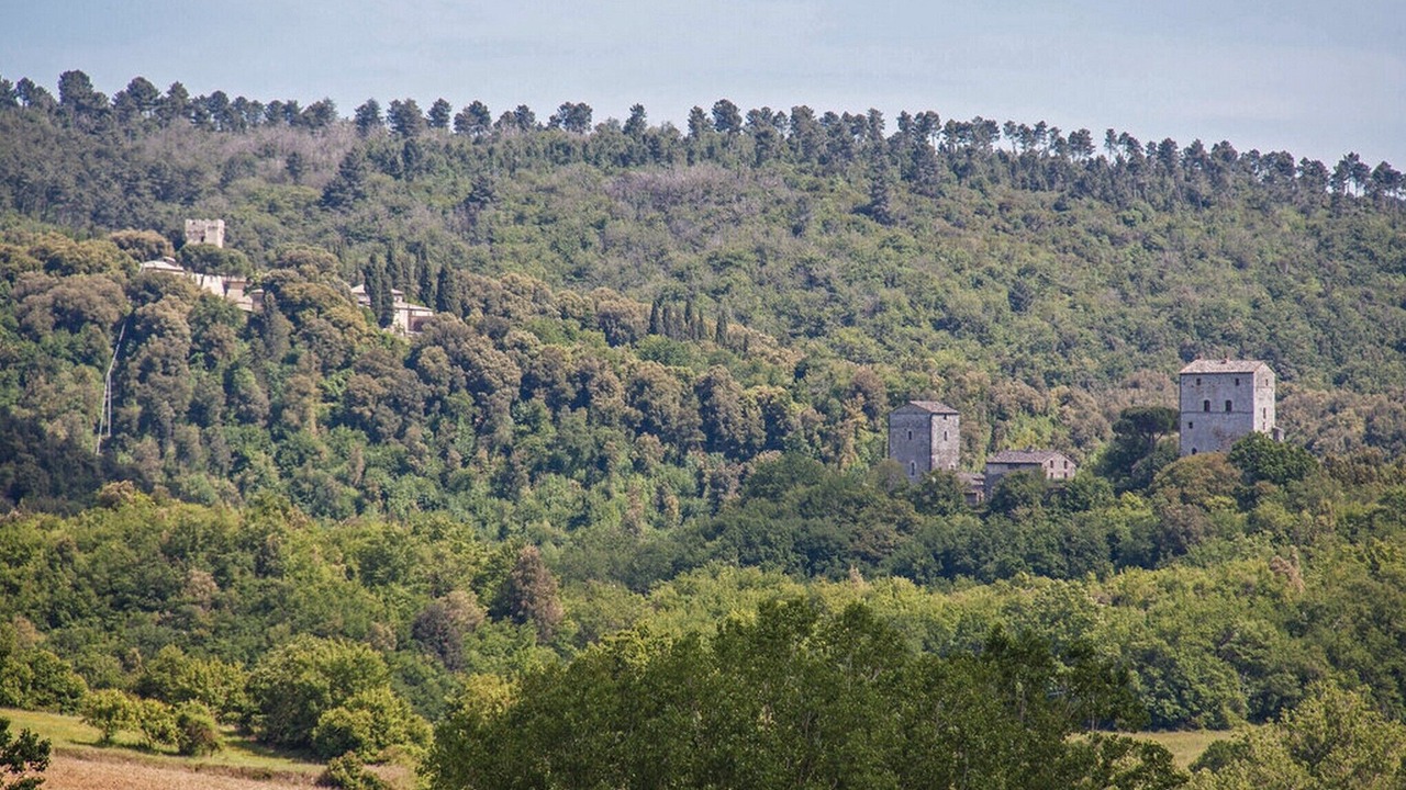 Photo of Outdoor in Simignano