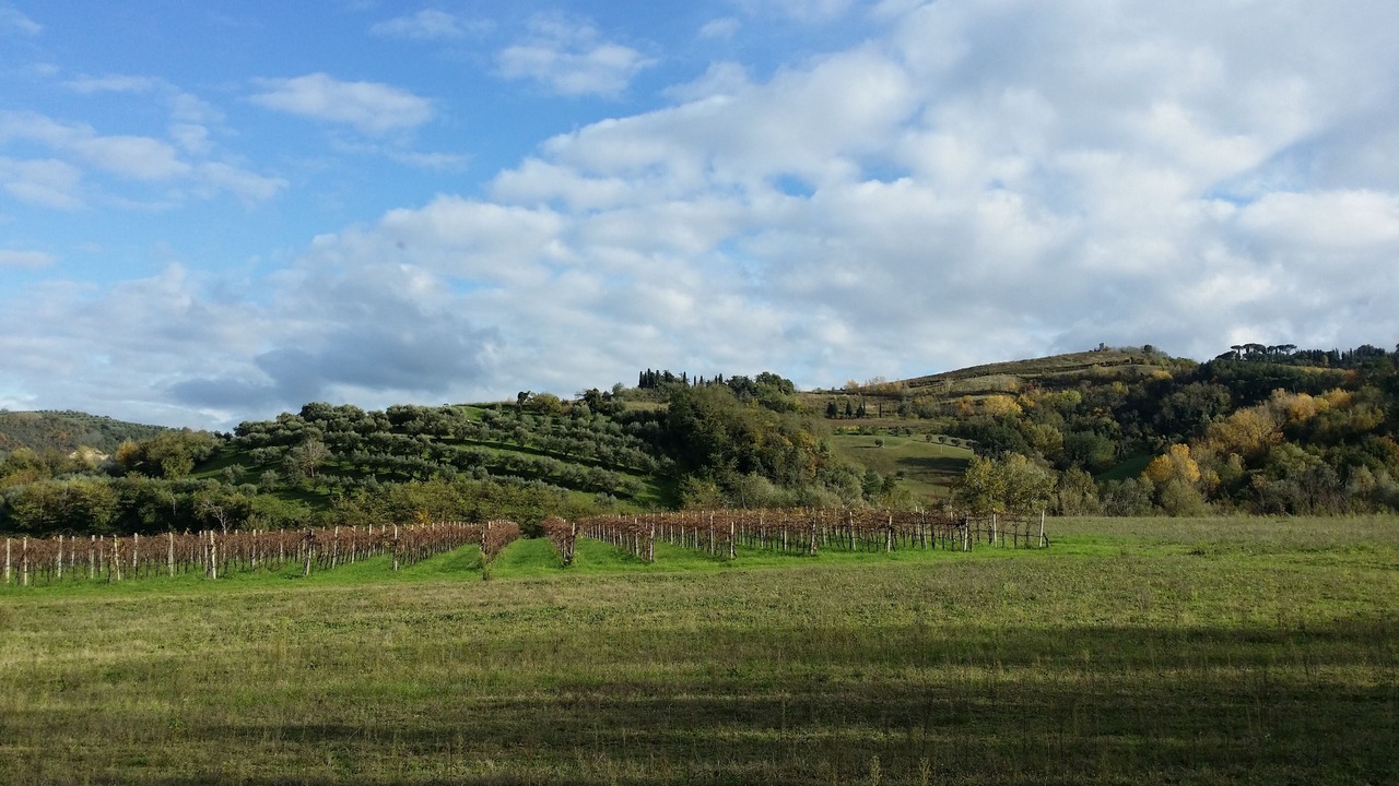 Photo of Outdoor in Brisighella