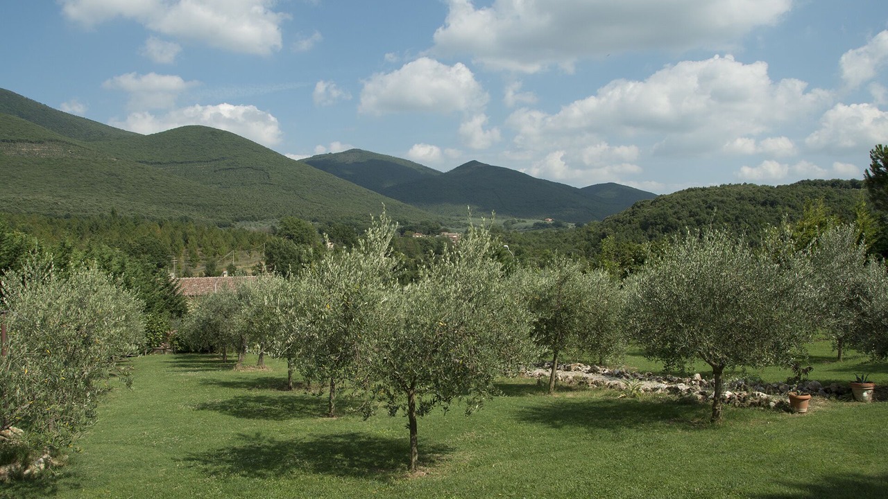 Photo of Outdoor in Montecchio