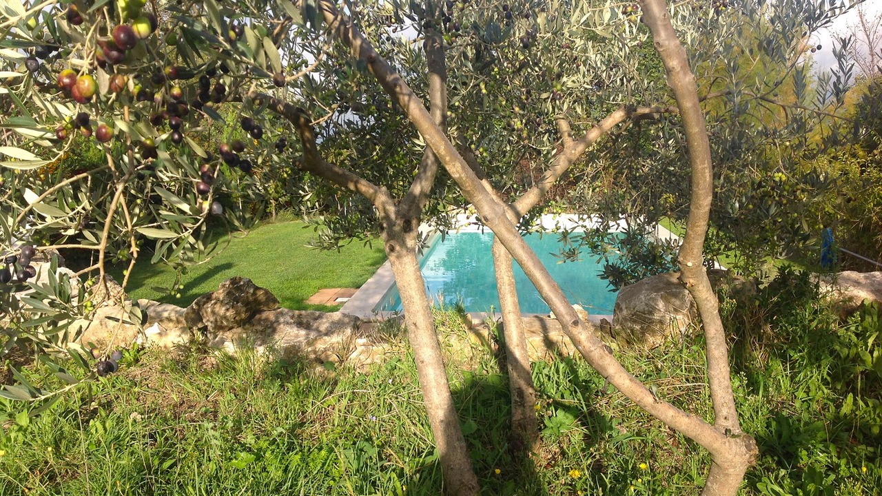 Photo of Outdoor in Montecchio