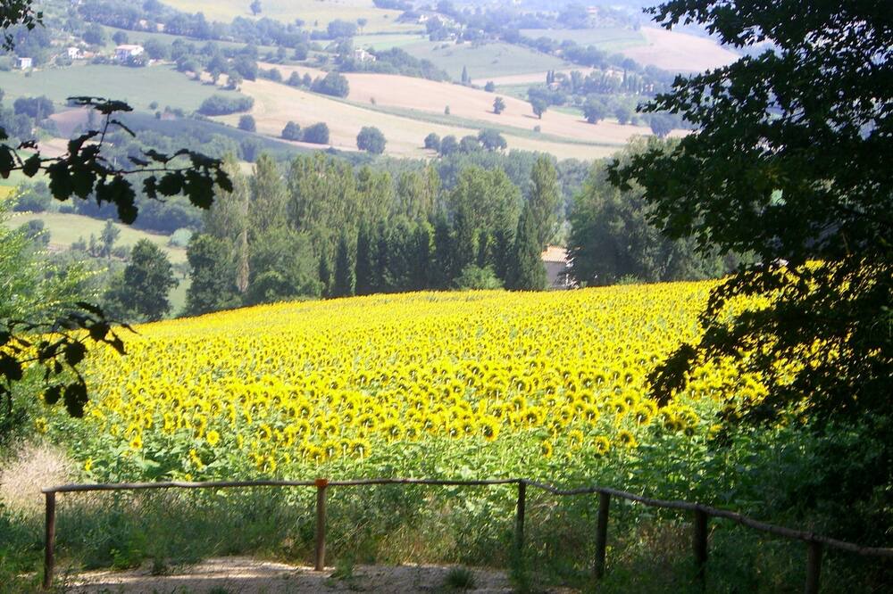 Photo of Outdoor in Otricoli