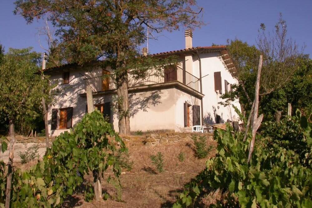 Photo of Outdoor in Monterchi