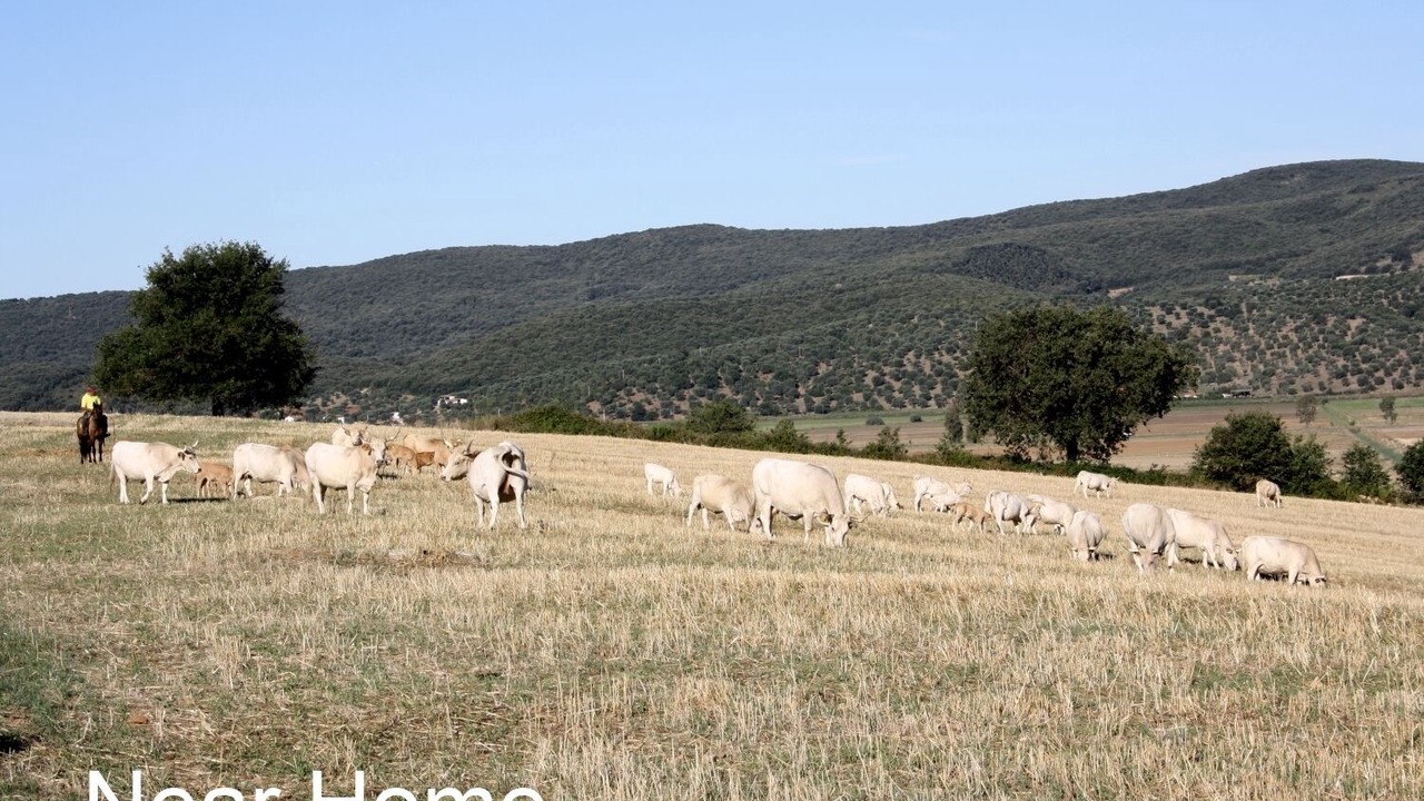 Photo of Outdoor in Orbetello