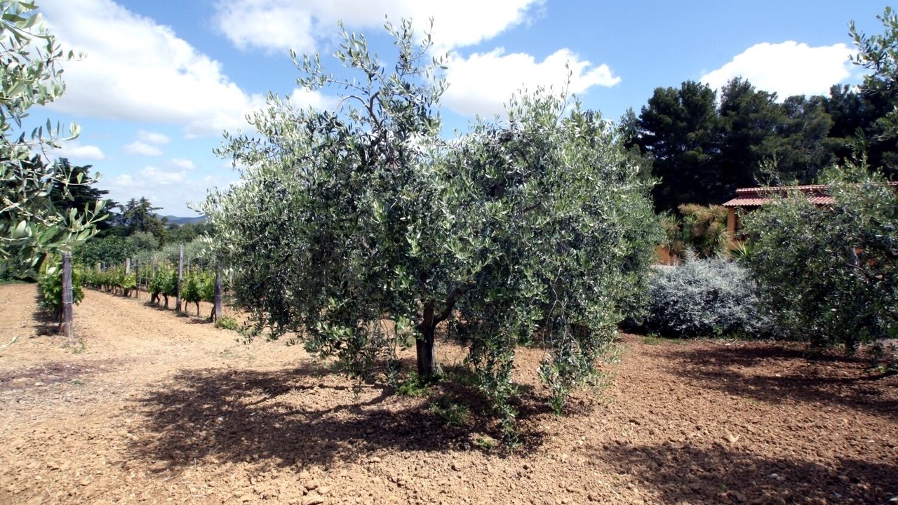 Photo of Outdoor in Orbetello