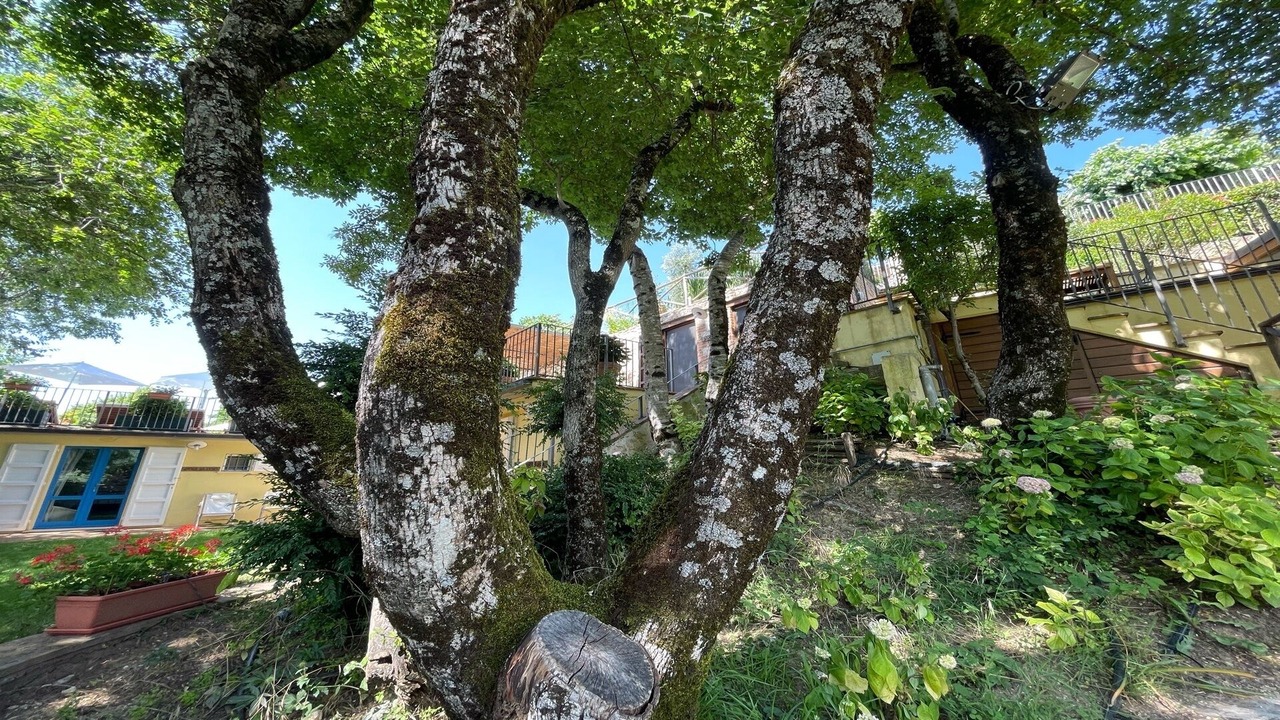Photo of Outdoor in Spoleto