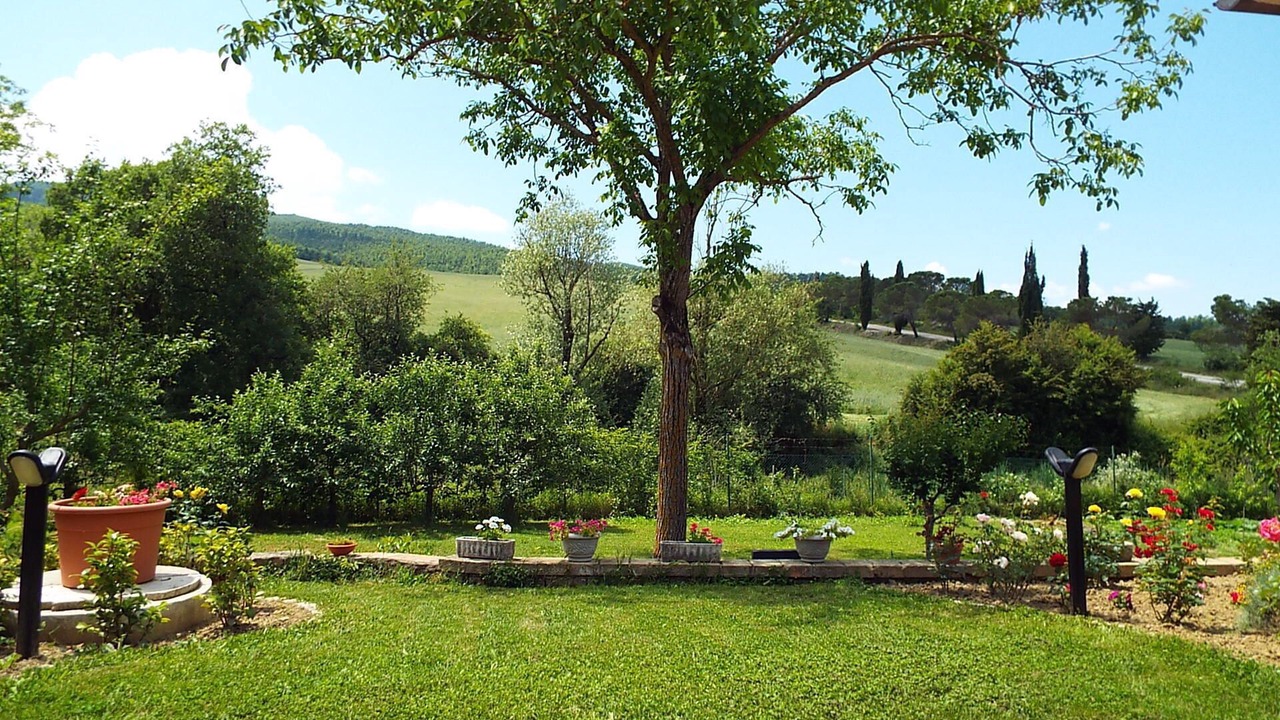 Photo of Outdoor in Sarteano