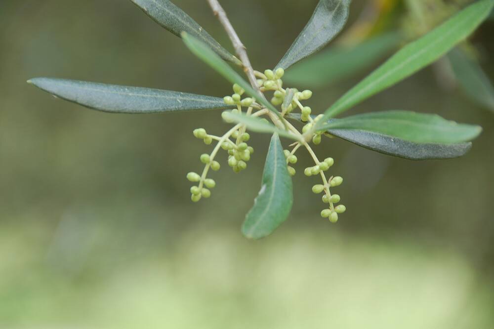 Photo of Outdoor in Gavorrano