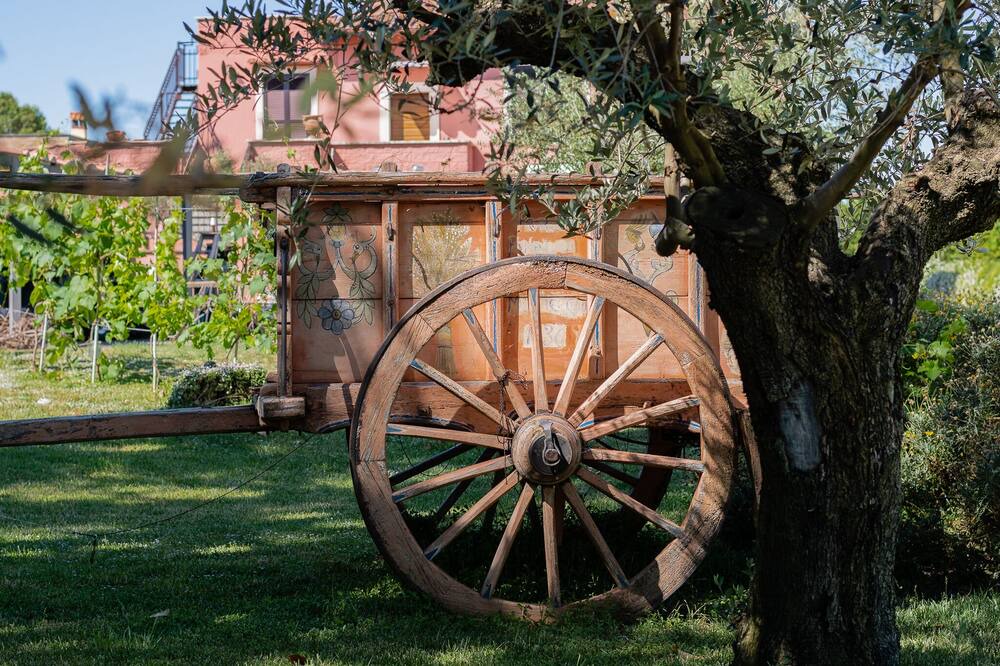 Photo of Outdoor in Frascati