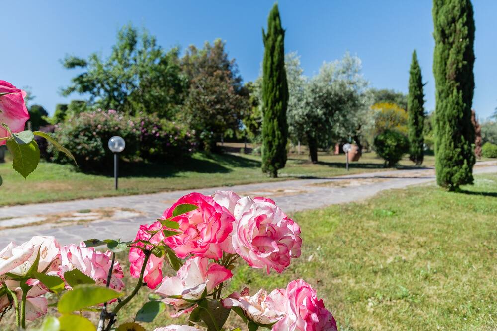 Photo of Outdoor in Frascati