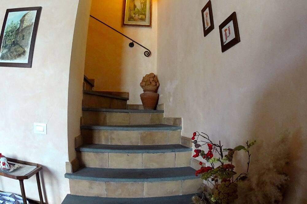Photo of Others in Castel Cellesi
