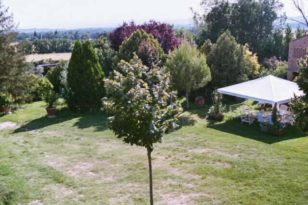 Photo of Outdoor in Torgiano