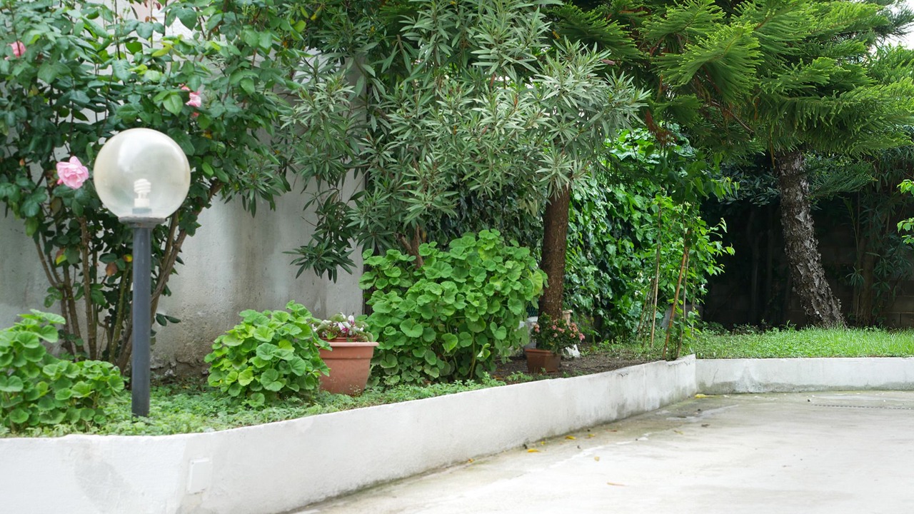 Photo of Outdoor in Francavilla al Mare