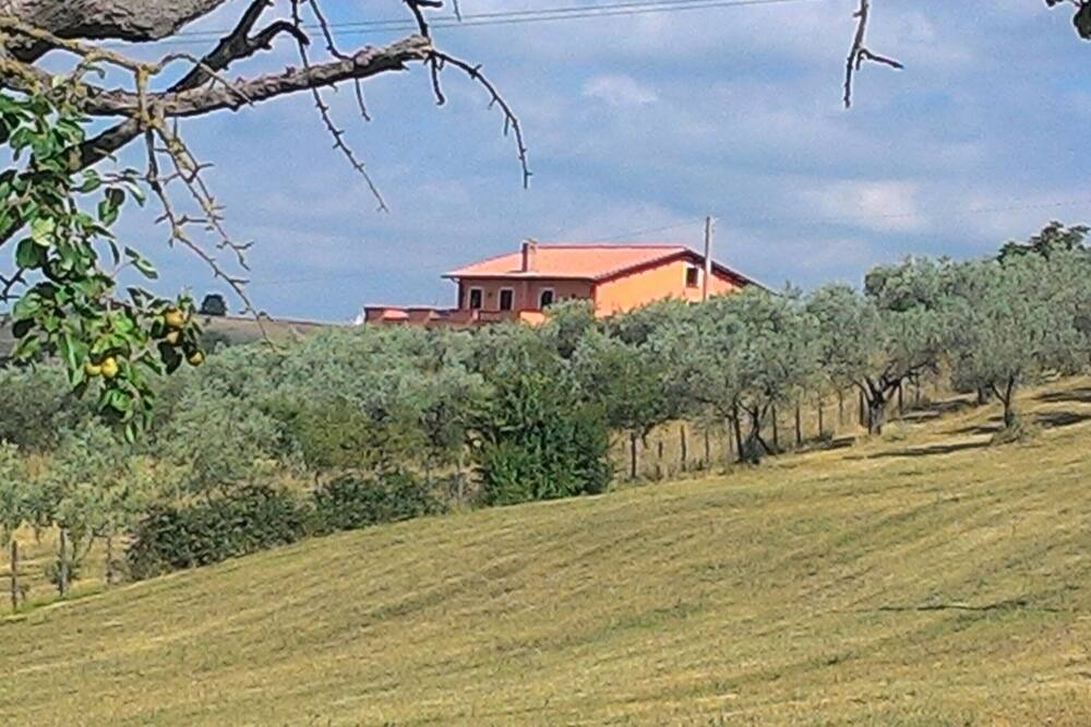 Photo of Outdoor in Montopoli di Sabina