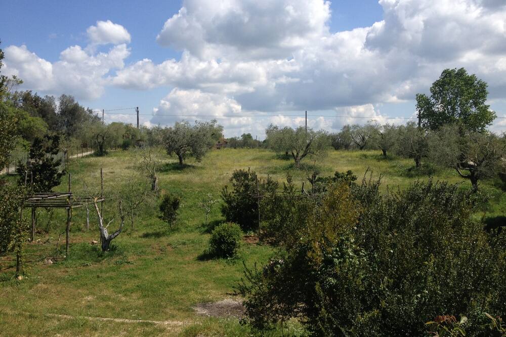 Photo of Outdoor in Formello