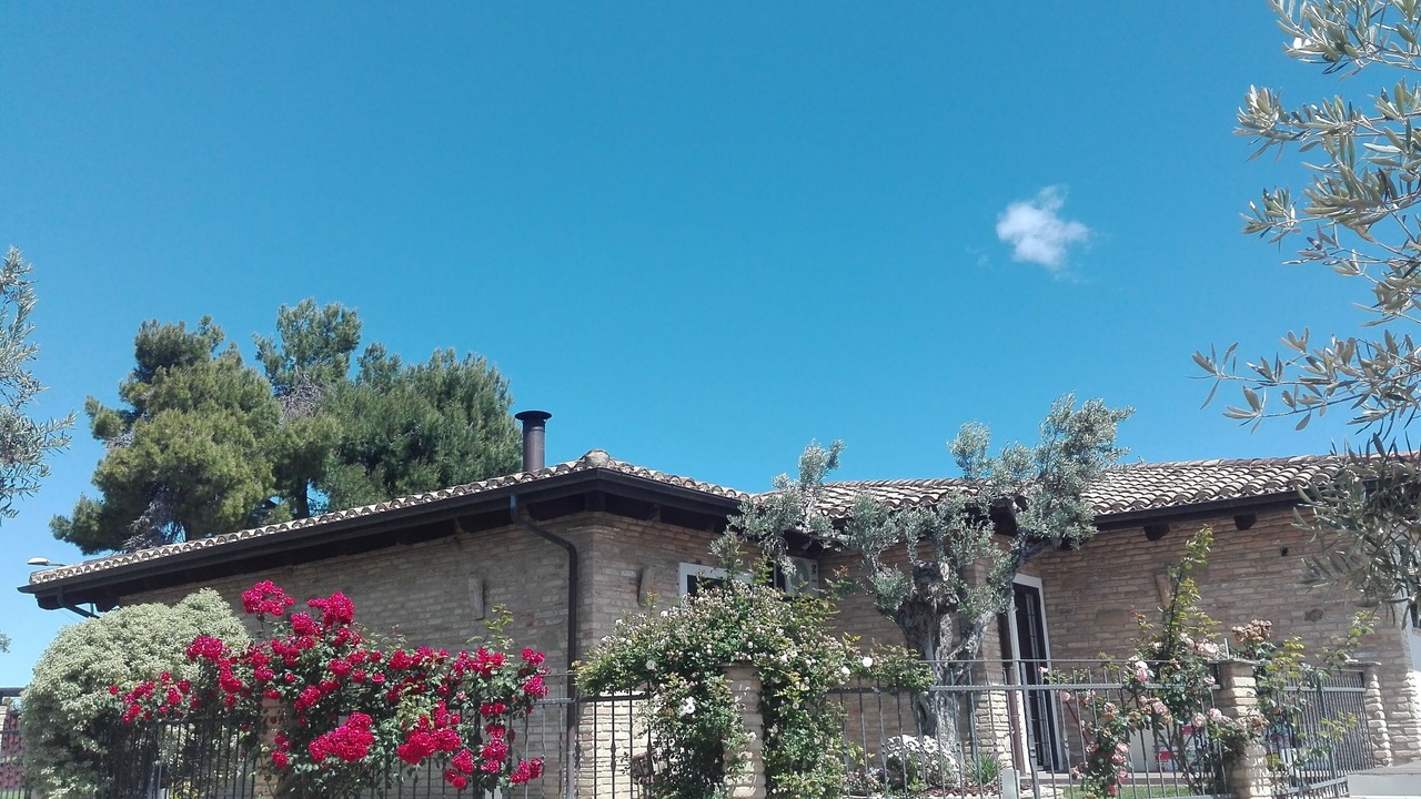 Photo of Outdoor in San Giovanni Teatino