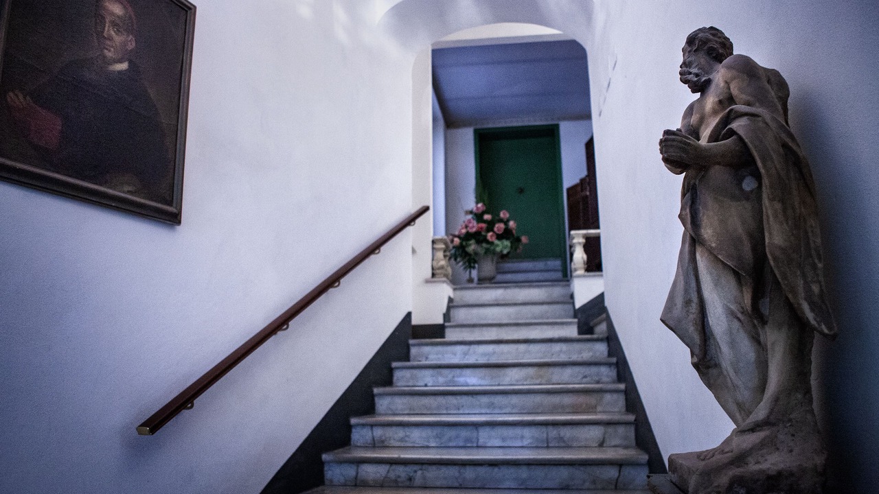 Photo of Others in Carrara