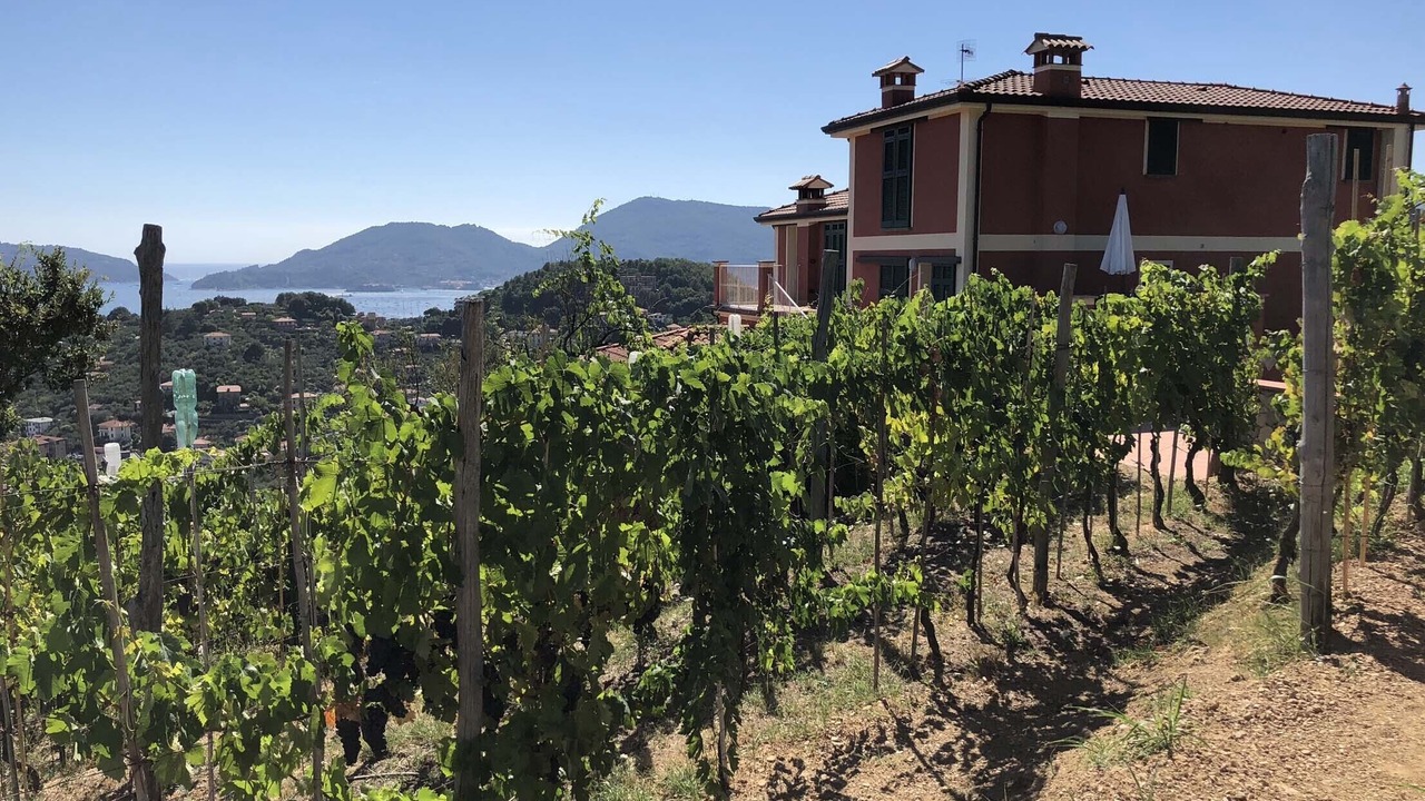 Photo of Outdoor in Lerici