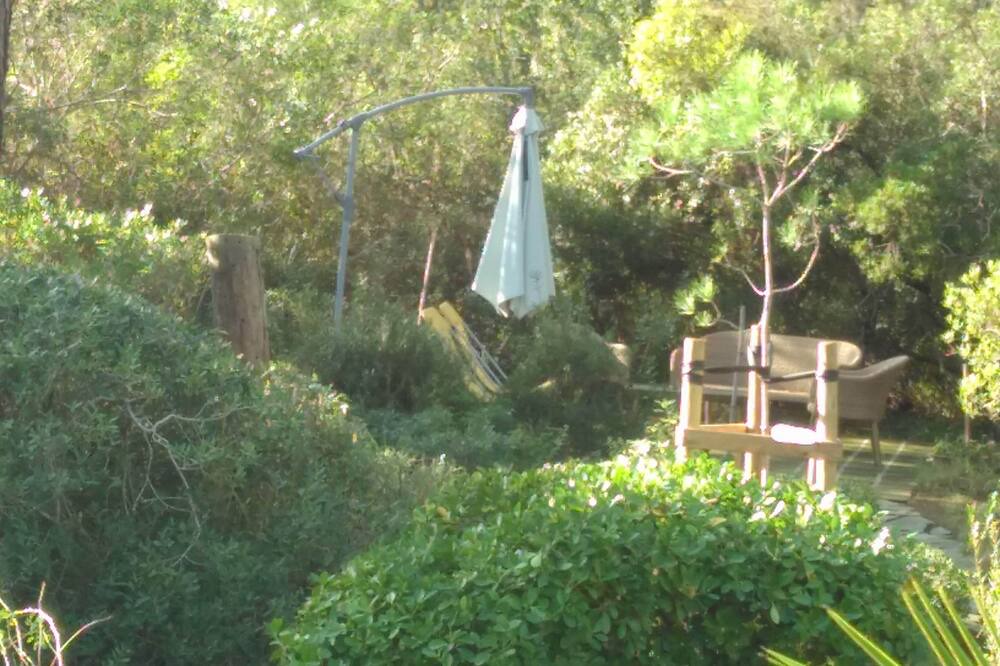 Photo of Outdoor in Castiglione della Pescaia