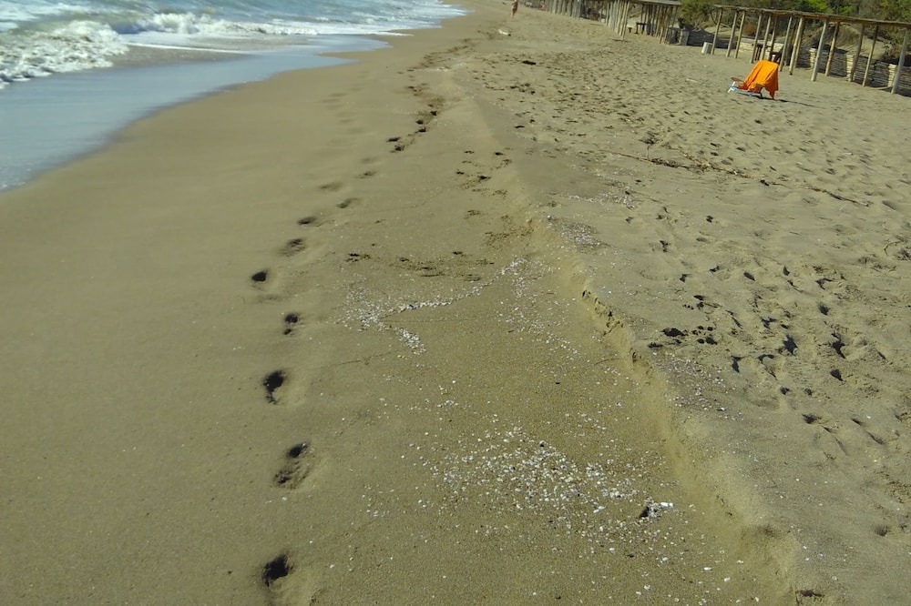 Photo of Others in Castiglione della Pescaia