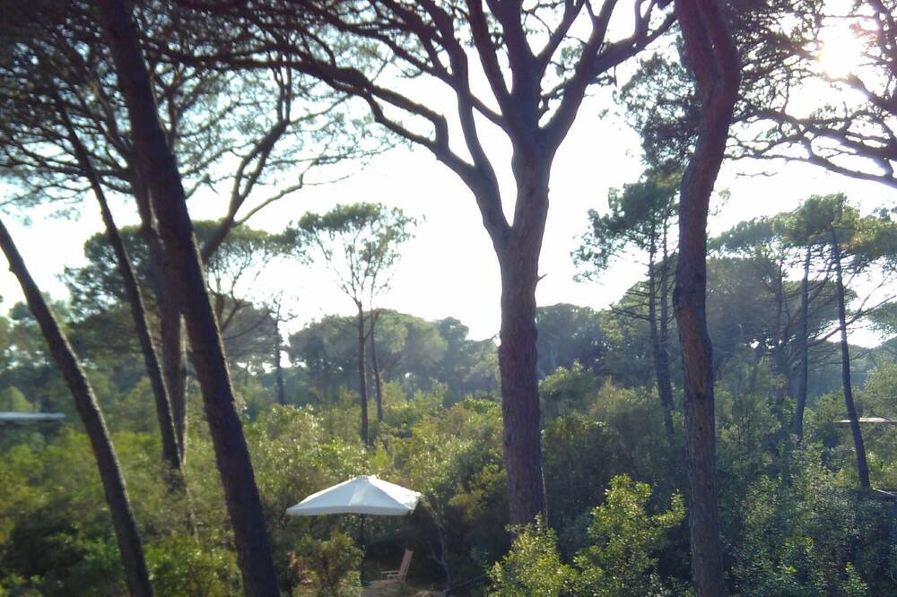 Photo of Outdoor in Castiglione della Pescaia