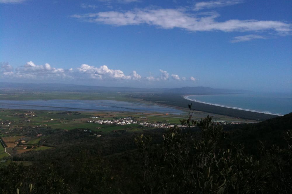 Photo of Others in Castiglione della Pescaia