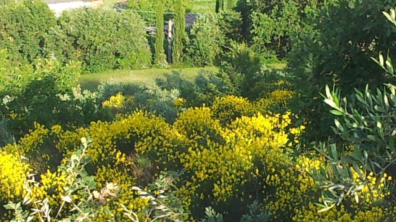 Photo of Outdoor in Bagnaia