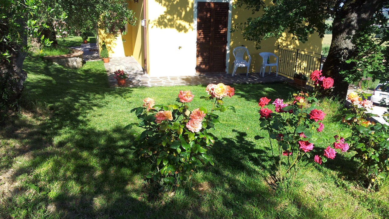 Photo of Outdoor in Bagnaia