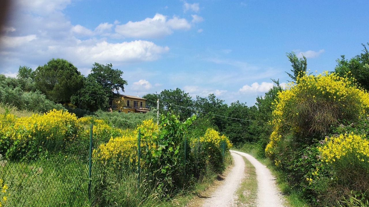Photo of Outdoor in Bagnaia