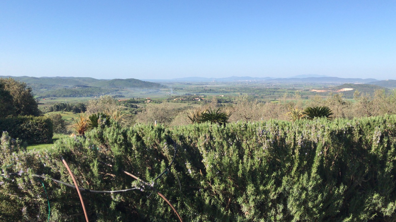 Photo of Outdoor in Monterotondo Marittimo