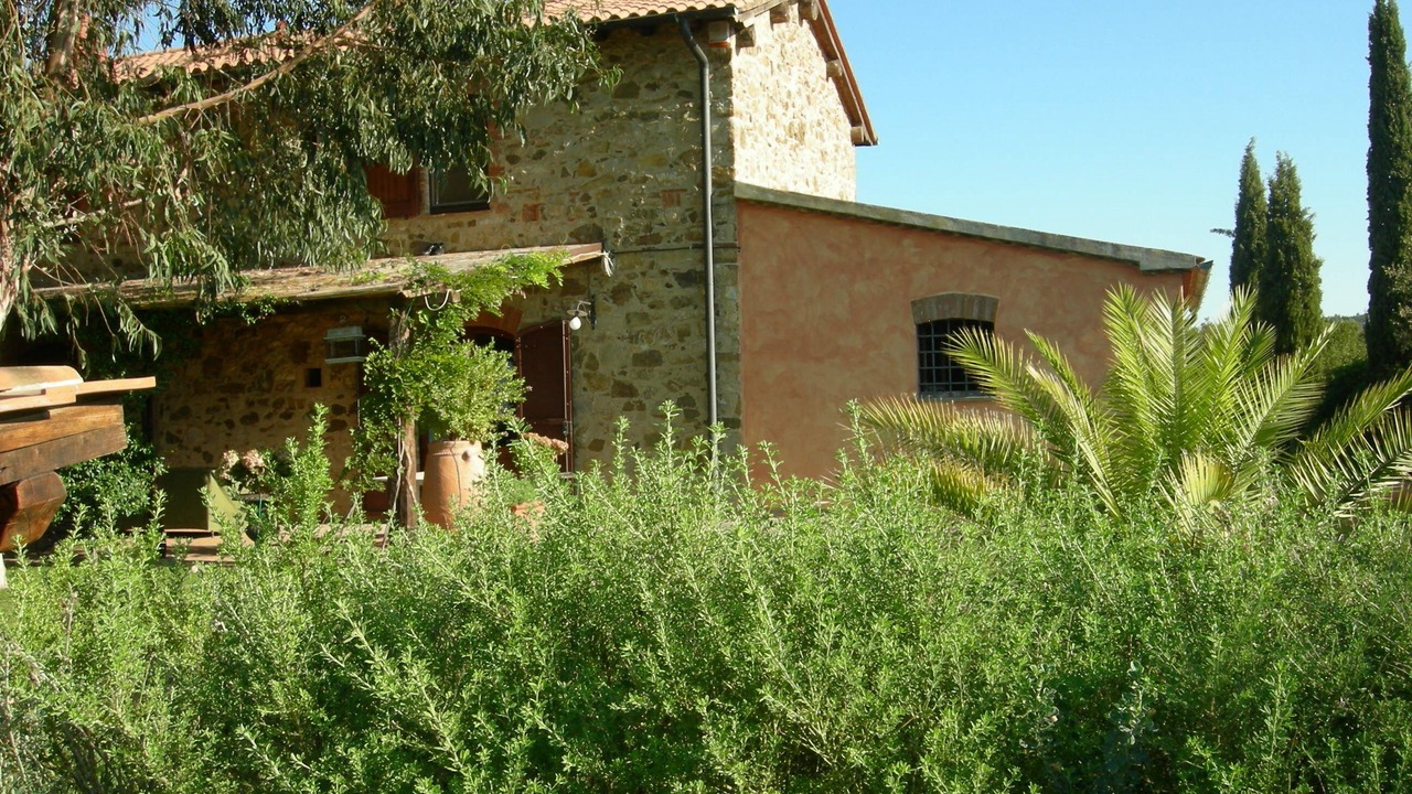Photo of Outdoor in Monterotondo Marittimo