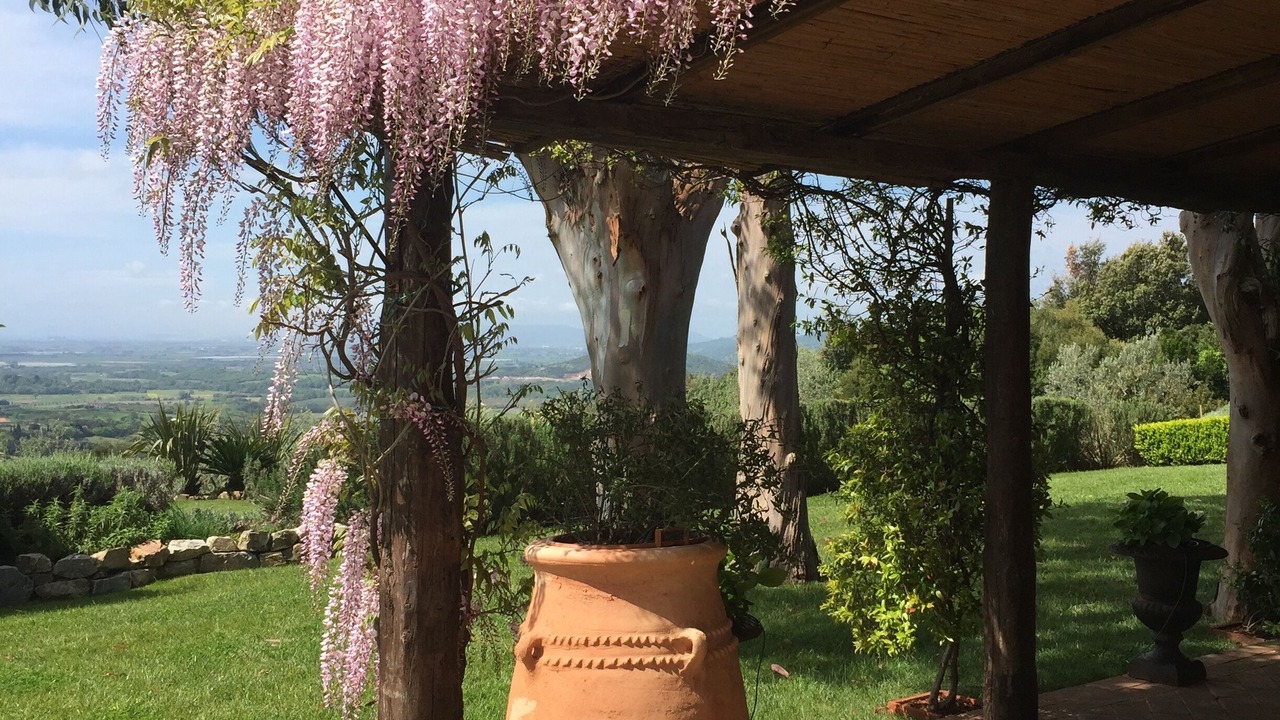Photo of Outdoor in Monterotondo Marittimo