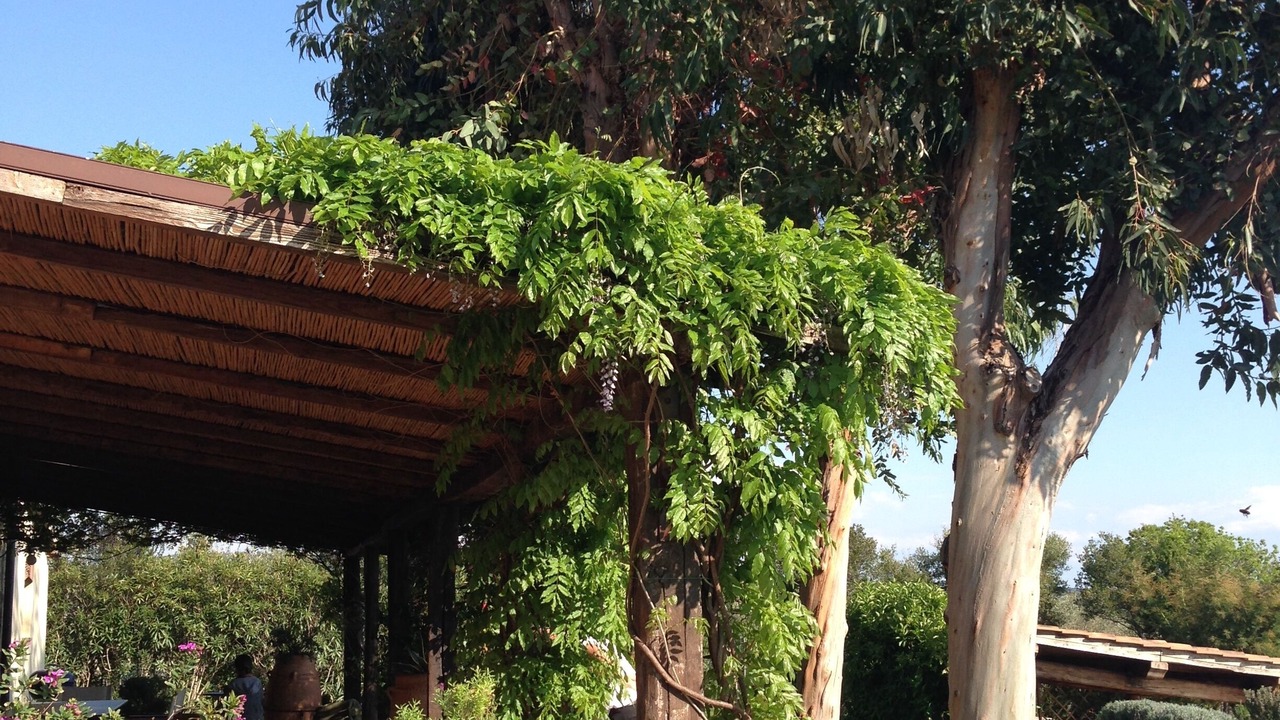 Photo of Outdoor in Monterotondo Marittimo