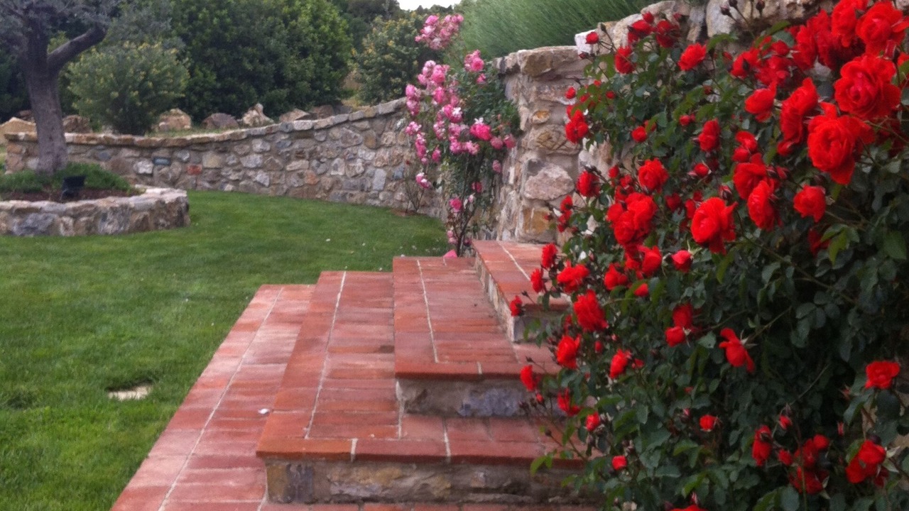 Photo of Outdoor in Monterotondo Marittimo