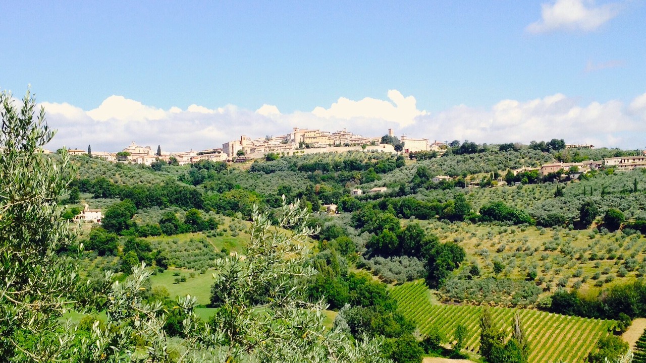 Photo of Others in Montefalco