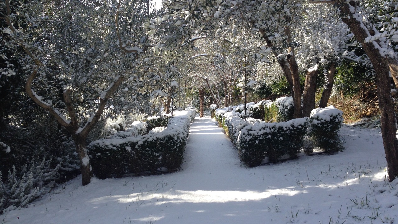 Photo of Outdoor in Montefalco