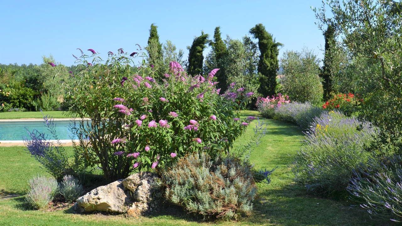Photo of Outdoor in Cetona