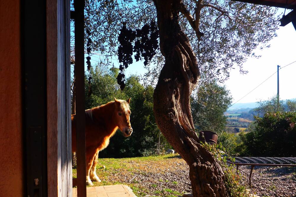 Photo of Outdoor in Caldana