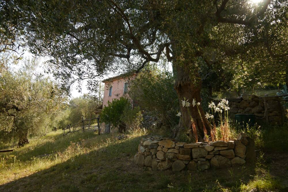 Photo of Outdoor in Caldana