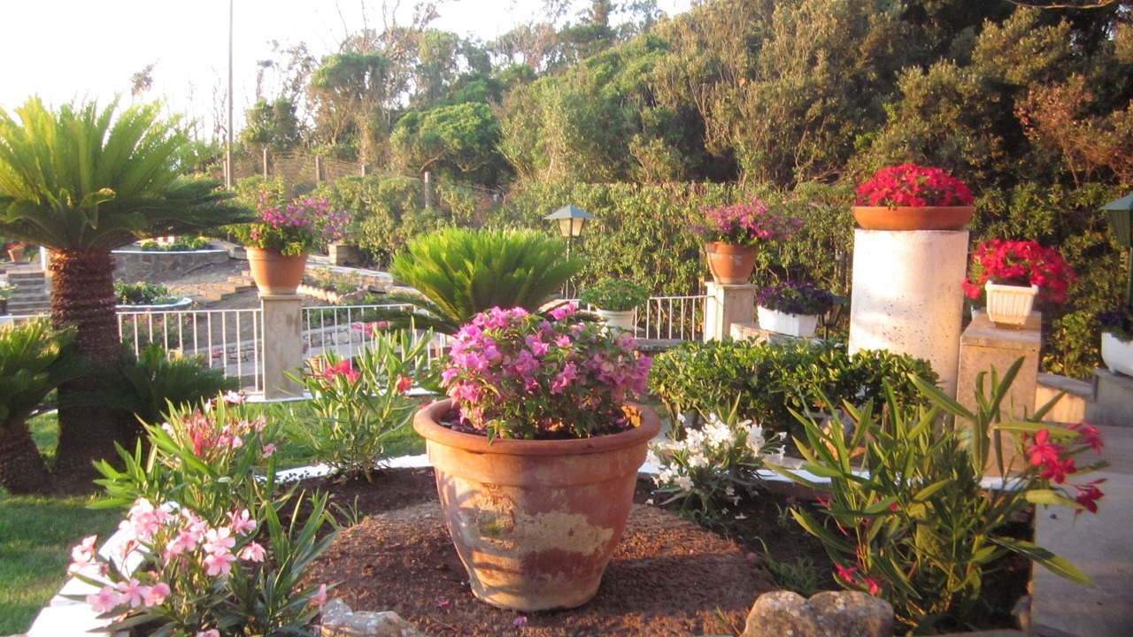 Photo of Outdoor in San Felice Circeo