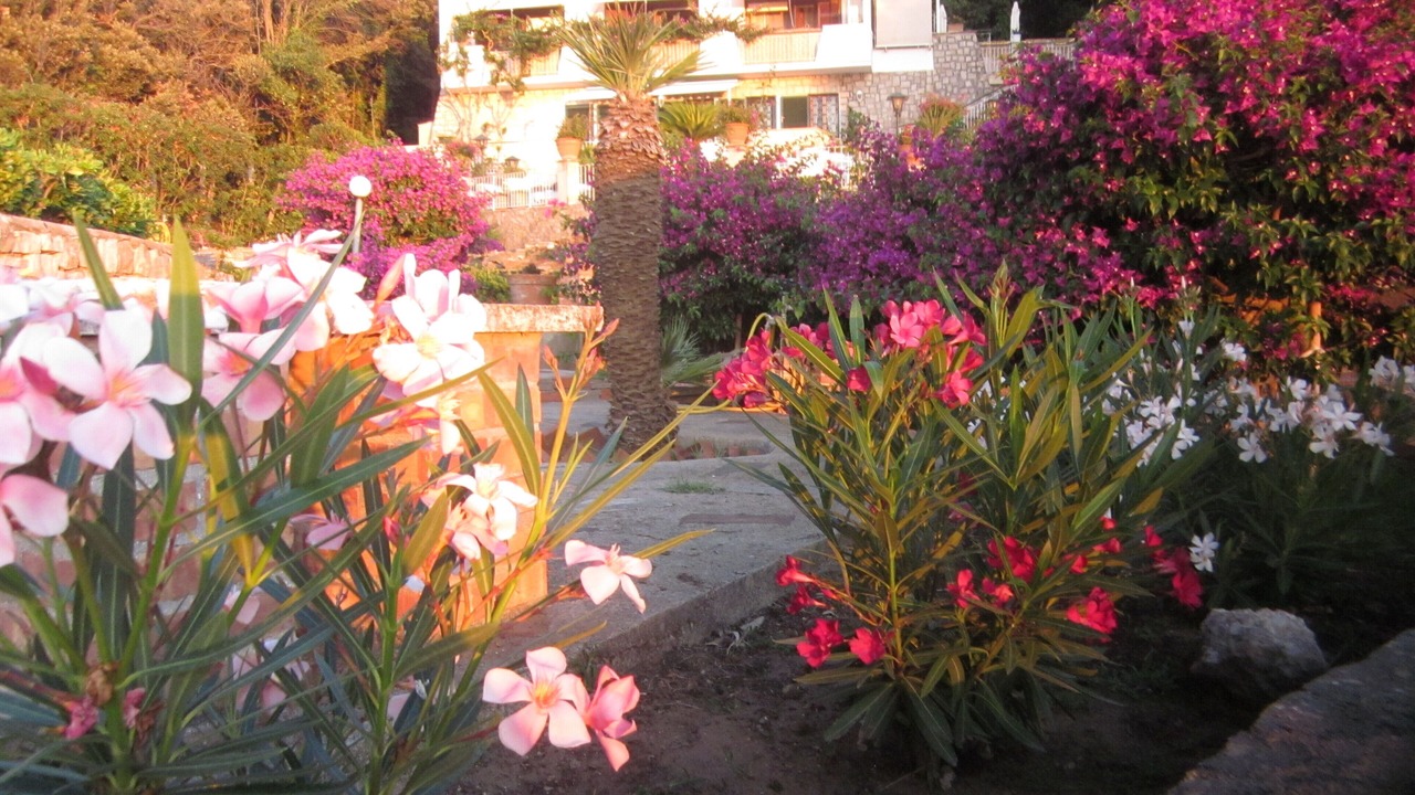 Photo of Outdoor in San Felice Circeo