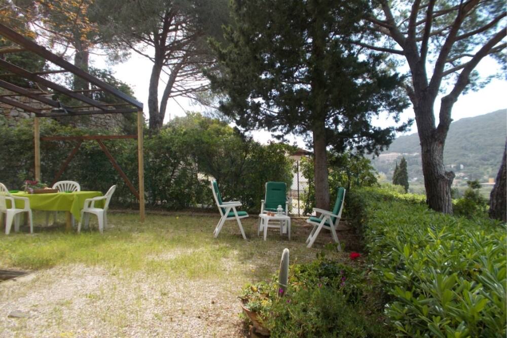 Photo of Others in Procchio