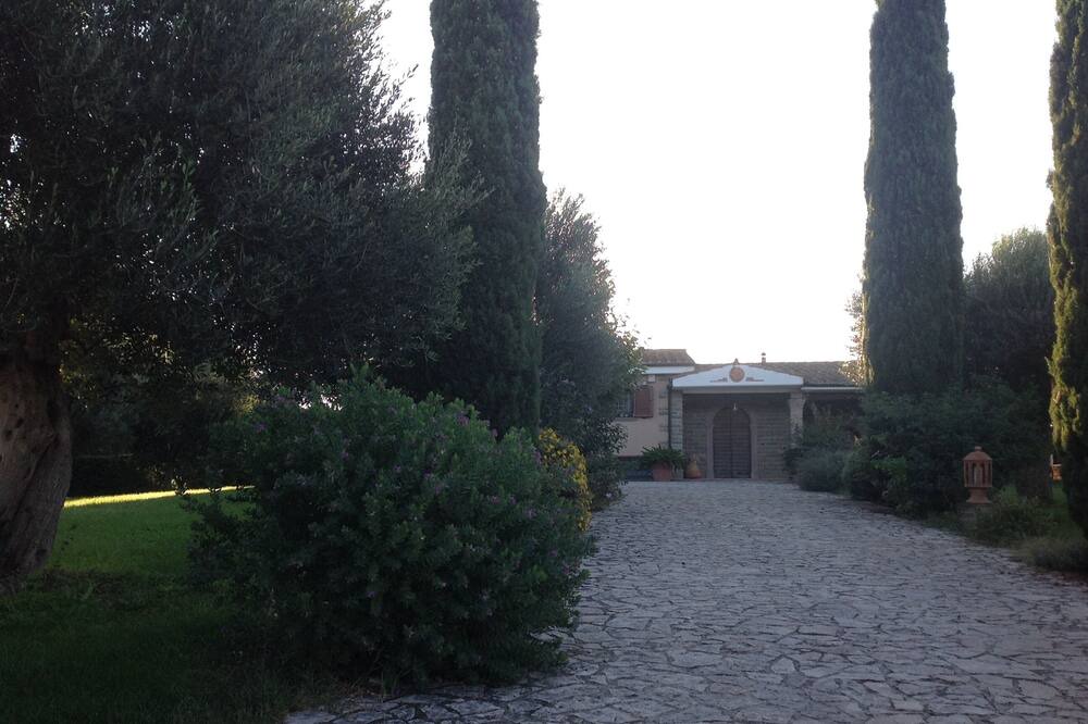 Photo of Outdoor in Cerveteri