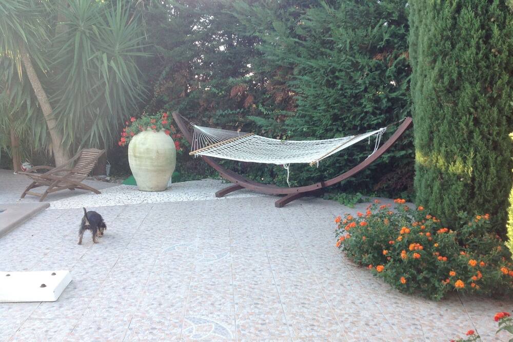 Photo of Outdoor in Cerveteri