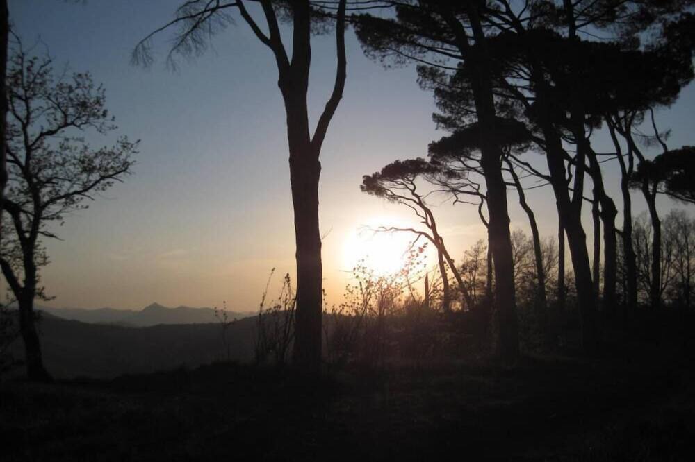 Photo of Outdoor in Faenza
