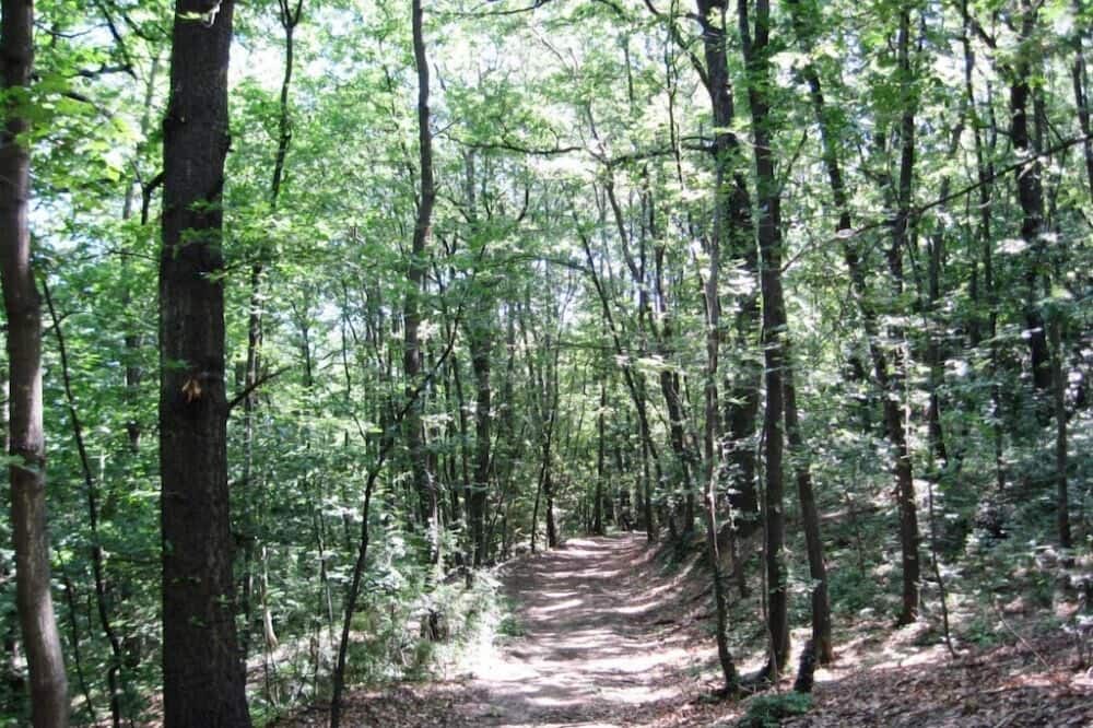 Photo of Outdoor in Faenza