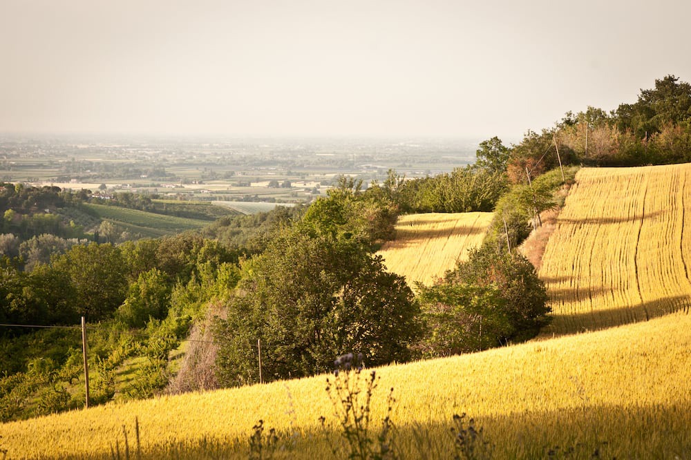 Photo of Outdoor in Faenza