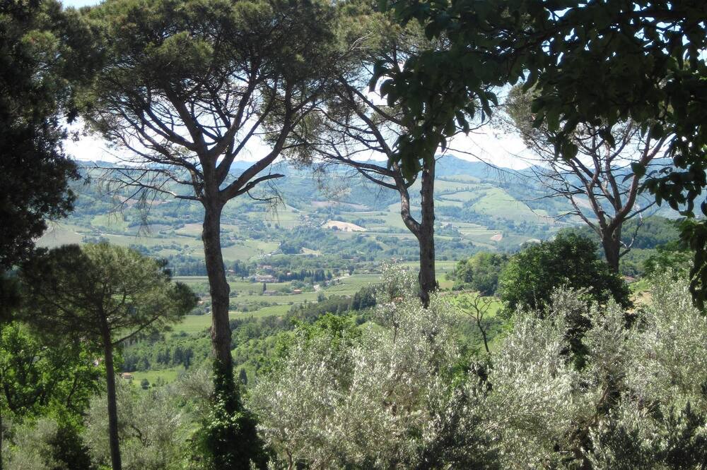 Photo of Outdoor in Faenza