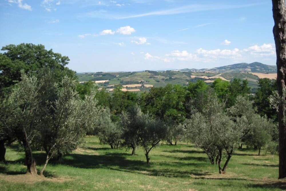Photo of Outdoor in Faenza